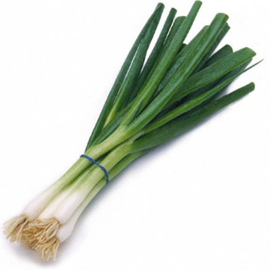 Nobleman Foods Green Onion & Garlic chip dip or Pretzel and/or Corn Chip Dip